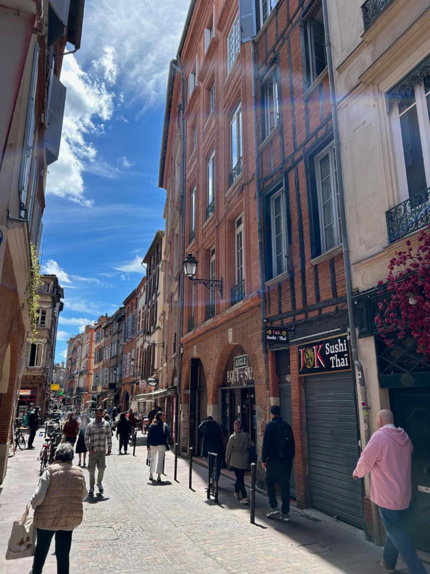 Au Charme Des Carmes - T1 Sur Cour - Metro A & B Toulouse Exterior foto